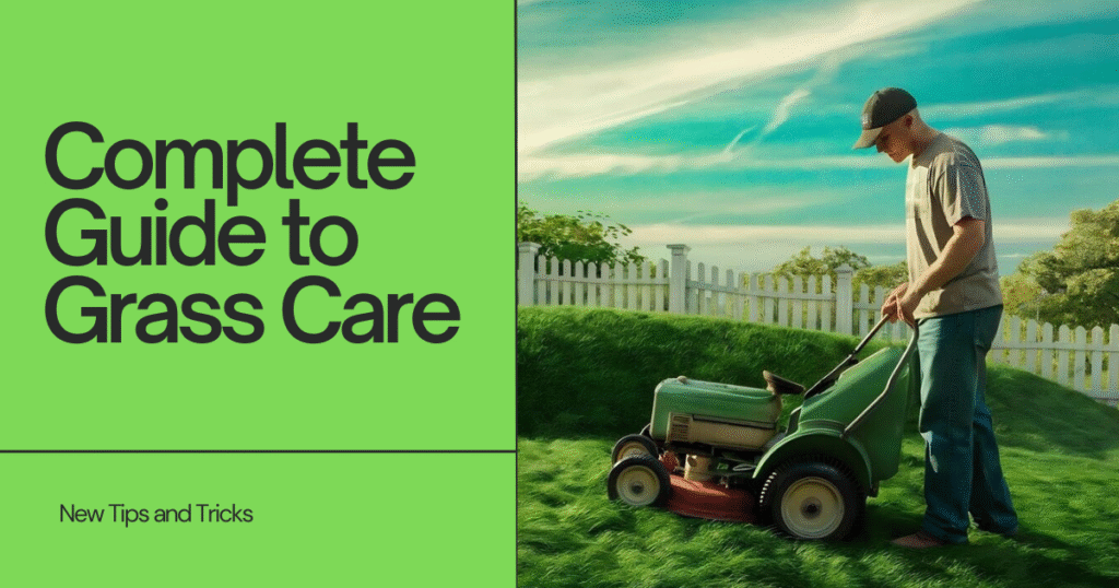 The Complete Guide to Grass Care Tips