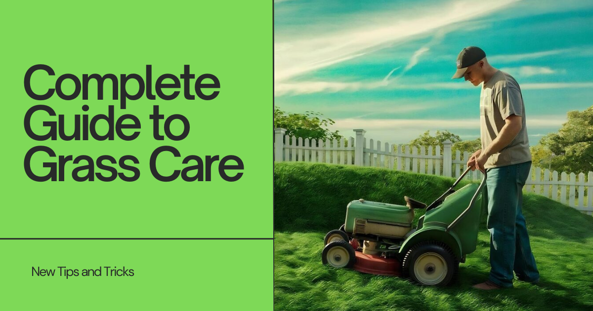 The Complete Guide to Grass Care Tips