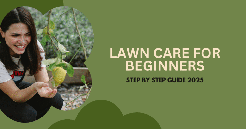 Lawn Care for Beginners