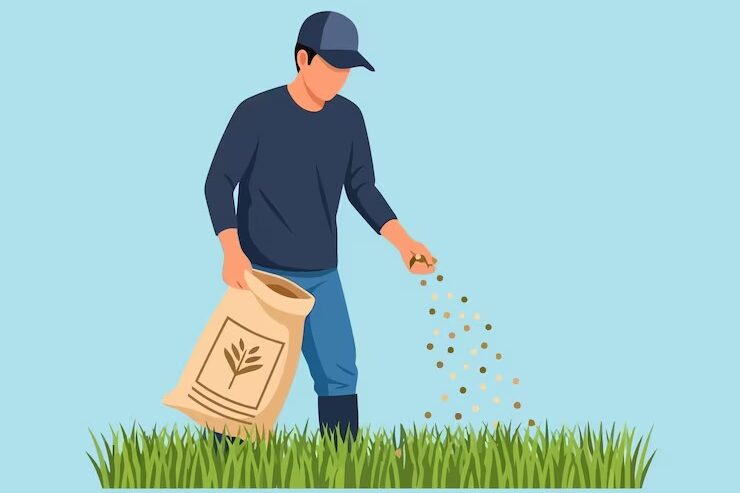 Lawn Care for Beginners: Step-by-Step Guide for USA Homeowners (2025) 5 imgi 24 man sowing seeds green grass light blue field 477639 7325 edited