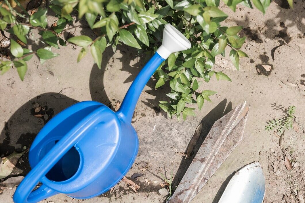 Lawn Care for Beginners: Step-by-Step Guide for USA Homeowners (2025) 8 imgi 62 high angle view watering can hand shovel gardening scissors near green leaves 23 2147948317 edited