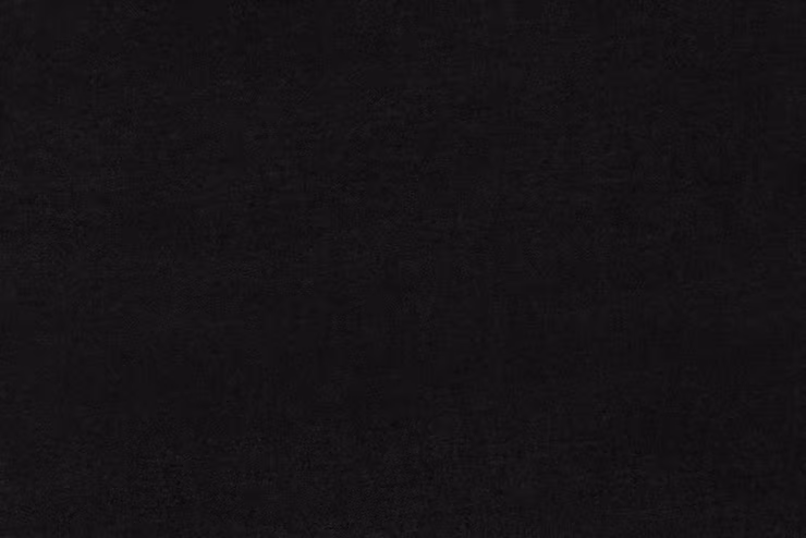 Andre the Giant Wife