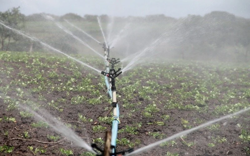 argus irrigation blog